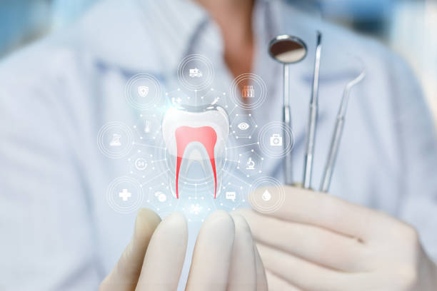 Best Traditional Braces  in Willmar, MN